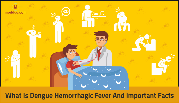 What is Dengue Hemorrhagic Fever and Its Important Facts