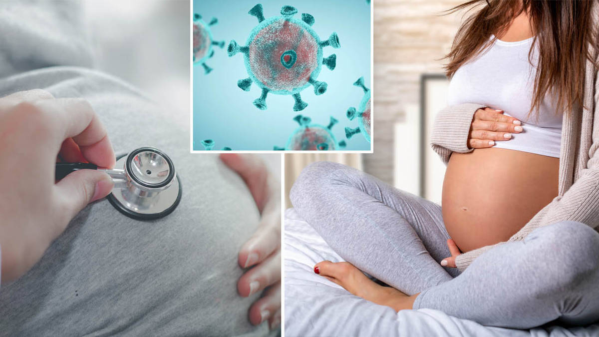 Is Coronavirus Dangerous For Pregnant Women And Fetuses?