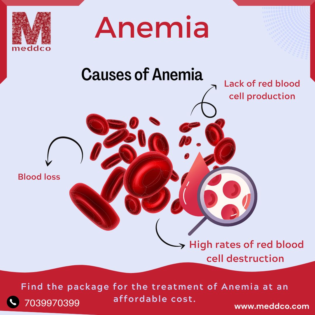 Review on Anemia - Blood Disorder