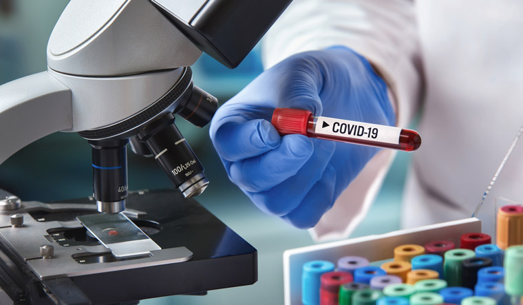 articles/covid-19-coronavirus-test-blood-meddco.jpg